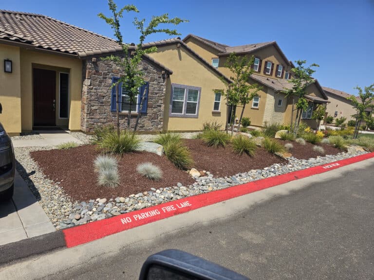 beautiful front yard landscaping