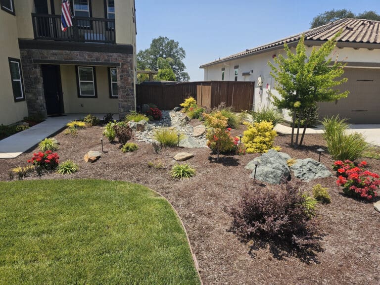 beautiful front yard landscaping