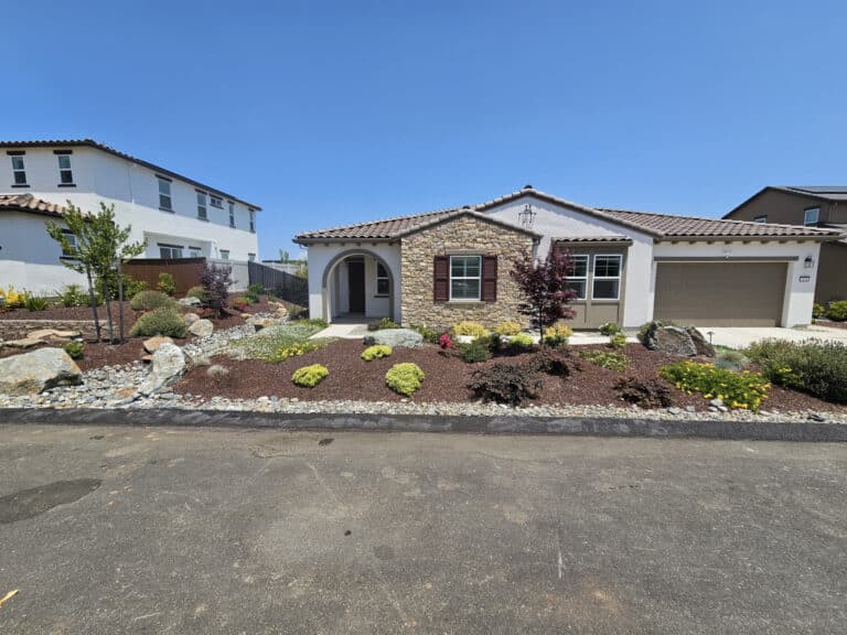 beautiful front yard landscaping