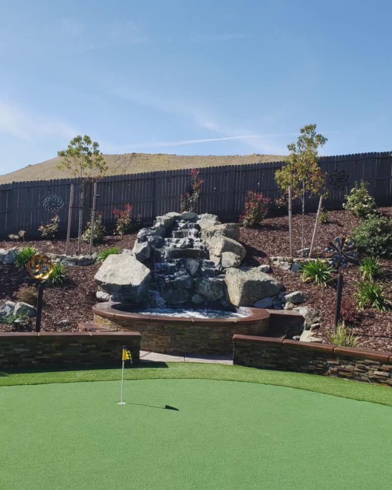 backyard landscaping with large water feature