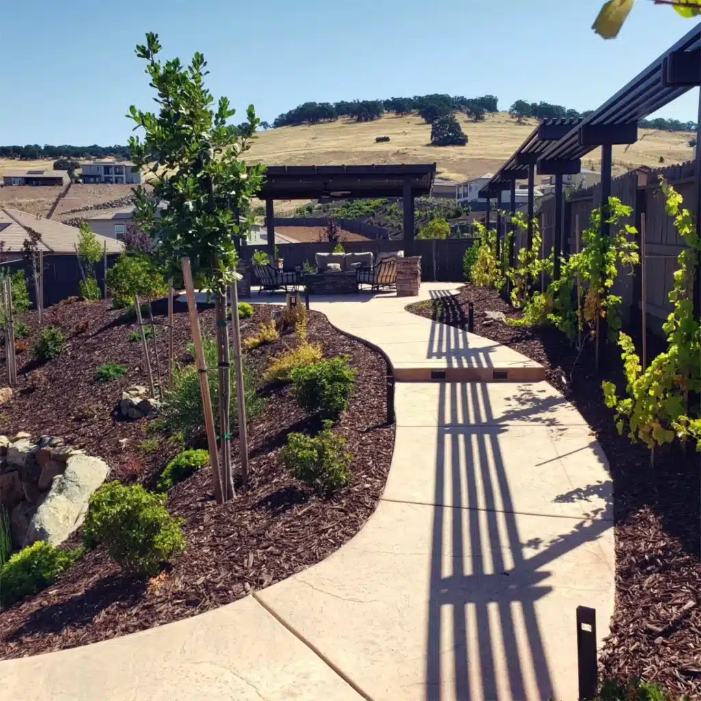 Compact garden design featuring vertical gardens and raised beds