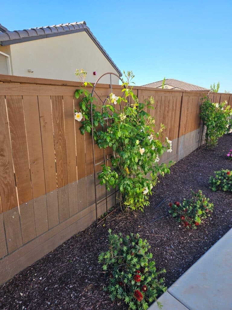 Durable snake fencing installed around a residential property in Sacramento, enhancing outdoor safety