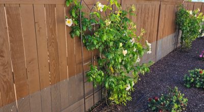Durable snake fencing installed around a residential property in Sacramento, enhancing outdoor safety