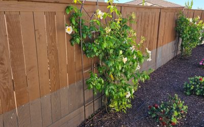 Durable snake fencing installed around a residential property in Sacramento, enhancing outdoor safety