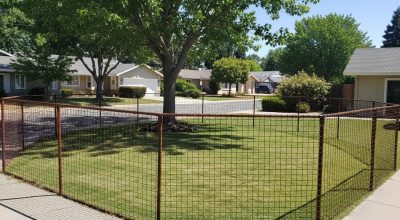 Durable snake fencing installed around a residential property in Sacramento, enhancing outdoor safety